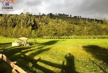 Terreno Comercial en  Natalia Jarrín, Cayambe, Ecuador