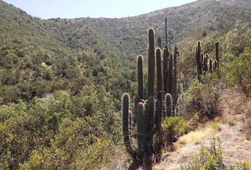 Parcela en  Curacaví, Melipilla