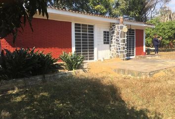 2 tierras en venta en Rancho o rancheria San Agustín Amatlipac, Tlayacapan  