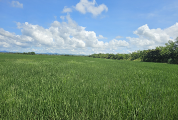 Finca/Hacienda en  Antón