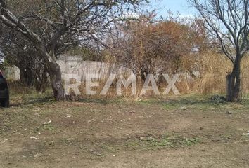 Lote de Terreno en  Tetelcingo, Cuautla, Morelos