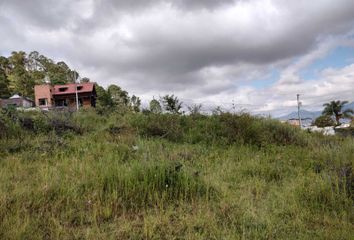 Lote de Terreno en  Valle De Las Flores, Morelia, Morelia, Michoacán