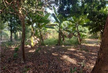 Lote de Terreno en  El Centro, Montería