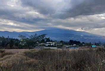 Terreno Comercial en  Puembo, Quito