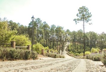 Lote de Terreno en  Avenida Benito Juárez, Atemajac De Brizuela Centro, Atemajac De Brizuela, Jalisco, 45790, Mex