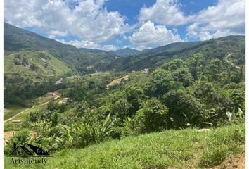 Lote de Terreno en  San Luis, Antioquia