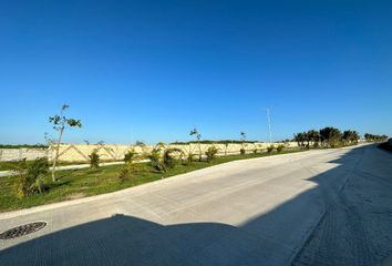 Lote de Terreno en  Carretera A Antón Lizardo, Alvarado, Veracruz De Ignacio De La Llave, Mex