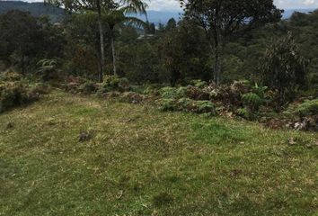 Lote de Terreno en  Santuario, Antioquia
