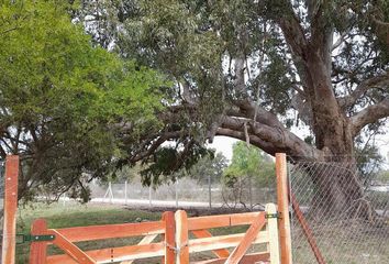 Terrenos en  Torres, Partido De Luján