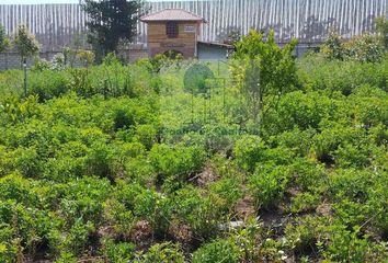 Terreno Comercial en  Tabacundo, Pedro Moncayo