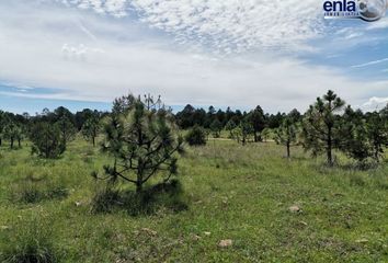 Lote de Terreno en  Santa María, Durango