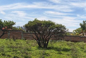 Lote de Terreno en  Avenida La Tomatina 10-314, Ejido La Tomatina, Jesús María, Aguascalientes, 20994, Mex