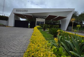 Lote de Terreno en  Primo Verdad, Ciudad De Aguascalientes