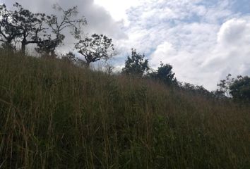 Lote de Terreno en  Las Heliconias De Pance, Pance Cabecera, Cali, Valle Del Cauca, Col