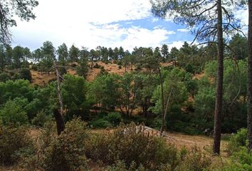 Terreno en  Santa Maria De La Alameda, Madrid Provincia