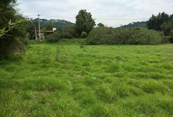 Lote de Terreno en  Valle De Bravo, Valle De Bravo