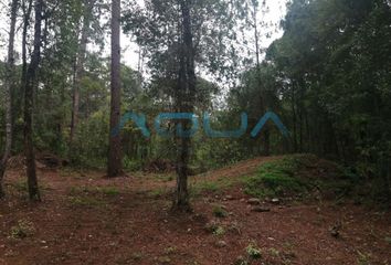 Lote de Terreno en  Avándaro, Valle De Bravo