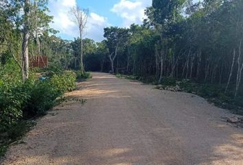 Lote de Terreno en  Leona Vicario, Quintana Roo