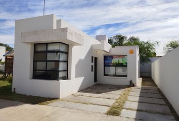 Casa en  Nueva Orquídea, San Luis Potosí