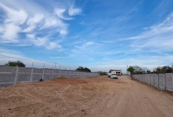 Lote de Terreno en  Avenida Interior, Residencial La Primavera, Culiacán, Sinaloa, 80199, Mex