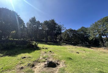 Lote de Terreno en  Rosario Tlali, Xochimilco