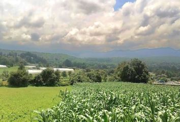 Lote de Terreno en  Amanalco, México, Mex