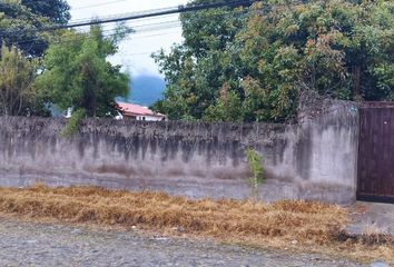 Terreno Comercial en  Mfvx+g5h, Vicente A, Quito, Ecuador