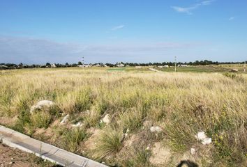 Terrenos en  General Cerri, Partido De Bahía Blanca