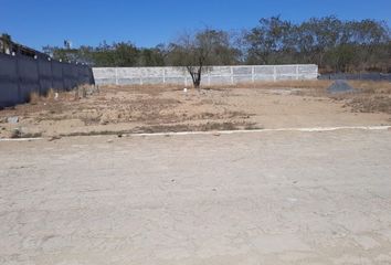 Lote de Terreno en  Vidaurri, Bernardo Flores, Allende, Nuevo León, 67350, Mex