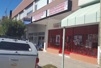 Locales en  Comodoro Rivadavia, Chubut
