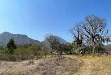 Lote de Terreno en  Ciudad Ciudad Allende, Allende, Nuevo León