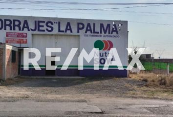 Local comercial en  San Pedro, Almoloya De Juárez