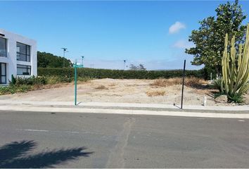 Terreno Comercial en  Tarqui, Manta