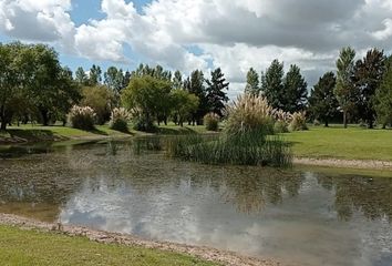 Terrenos en  Dolores, Partido De Dolores