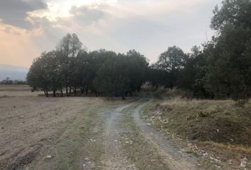 Lote de Terreno en  Camino A Ciudad De Nanacamilpa, Españita, Tlaxcala, Mex