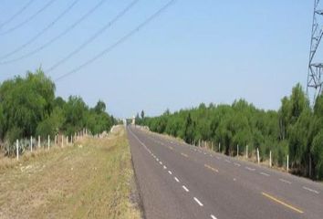 Lote de Terreno en  Cofradía Grande, Rioverde