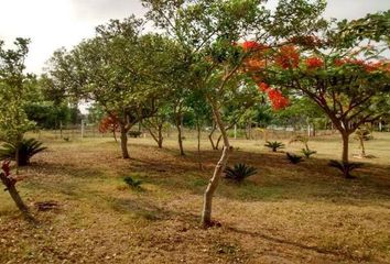 Lote de Terreno en  La Antigua, Veracruz