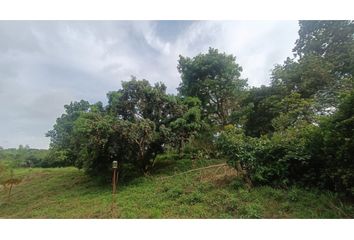 Lote de Terreno en  Mediterrane, Floridablanca