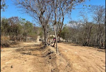 Lote de Terreno en  Carretera A La Unión, Santa María Colotepec, Oaxaca, Mex