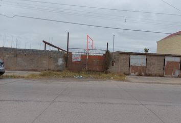 Lote de Terreno en  Ojinaga, Chihuahua