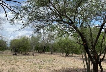 Lote de Terreno en  Montemorelos Centro, Montemorelos