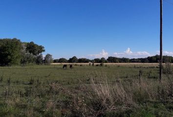 Terrenos en  Saladillo, Partido De Saladillo