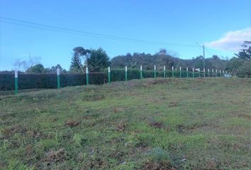 Lote de Terreno en  Guarne, Antioquia