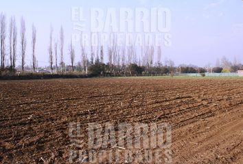 Parcela en  Colina, Chacabuco