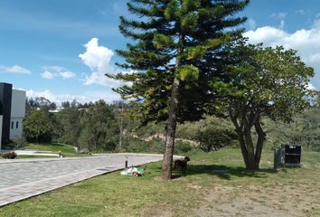 Terreno Comercial en  Puembo, Quito