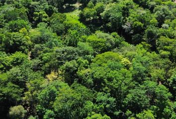 Lote de Terreno en  Magisterial, Bacalar, Bacalar, Quintana Roo