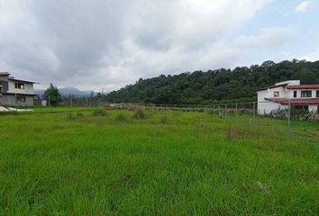 Lote de Terreno en  Avándaro, Valle De Bravo