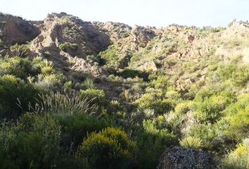Terreno en  Jubar, Granada Provincia