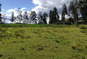 Terreno Comercial en  Rm56+vh Quito, Ecuador