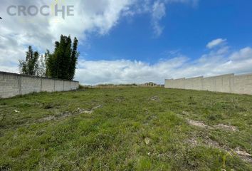 Lote de Terreno en  El Lencero, Municipio De Emiliano Zapata (veracruz)